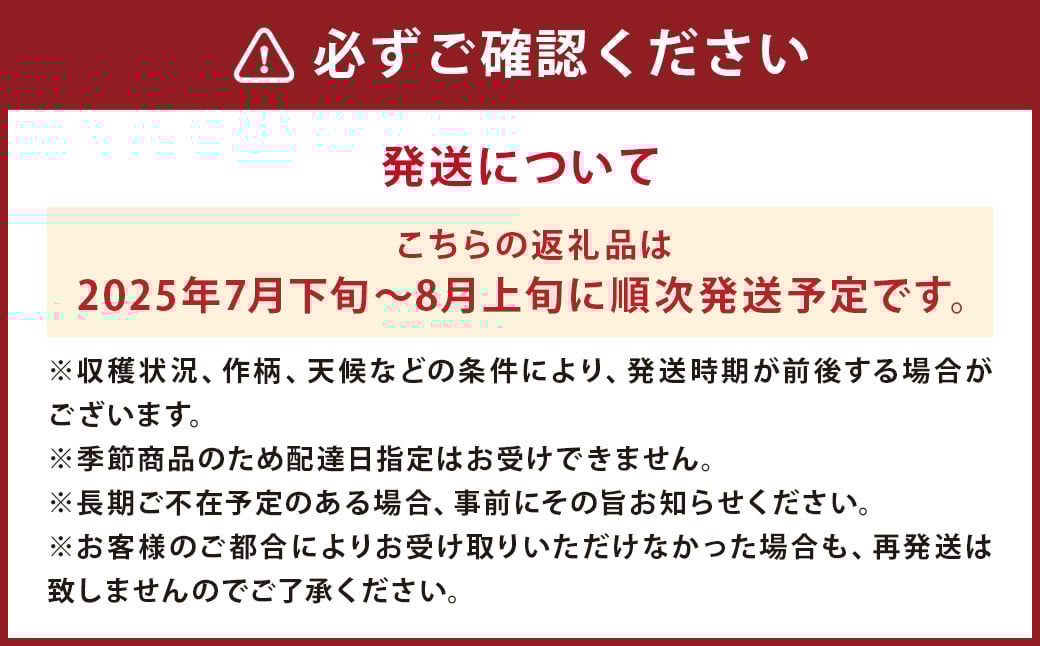 ブルーベリー 約700g