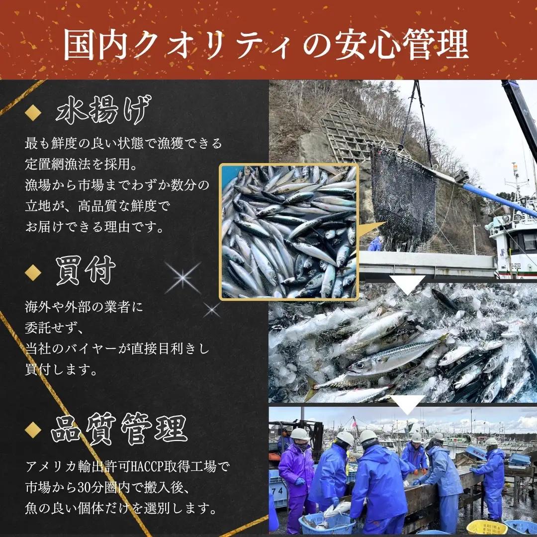 【訳あり】 三陸産 骨取り 塩サバ フィレ 半身 約1kg（4～7枚入り） 冷凍 国産 岩手県産 塩さば 塩鯖 訳アリ わけあり 骨なし 骨取り済み 骨取り魚 切り身 切身 海鮮 魚介 家庭用 レシピ