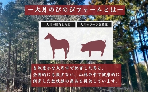 馬豚（バトン）ソーセージ 26本（馬肉70％・豚肉30％）