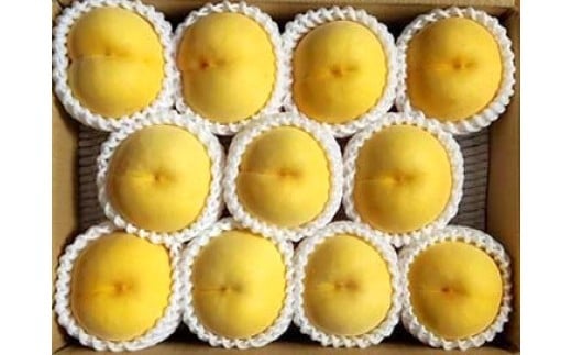 【数量限定】桃（黄貴妃）３ｋｇ　特秀品　0106-2602
