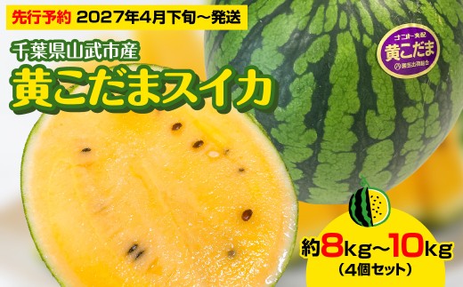 【先行予約・2027年4月下旬～発送】千葉県山武市産の黄こだまスイカ約８㎏～10㎏（4個セット）/すいか スイカ 西瓜  黄こだまスイカ 小玉 4玉セット 果物 フルーツ 農家直送 千葉県産 ちば 千葉すいか 山武市   SMDC001