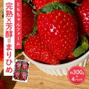 【ふるさと納税】「完熟×芳醇=まりひめ」4パック【配送不可地域：北海道・沖縄・離島】《先行予約》 いちご 苺 イチゴ フルーツ くだもの 果物 旬 パック 送料無料 数量限定 ふるさと納税