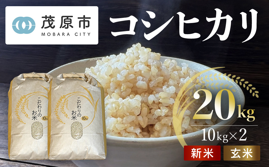 
新米 令和6年産 千葉県茂原市産 コシヒカリ 玄米20kg(10kg×2) MBAM009
