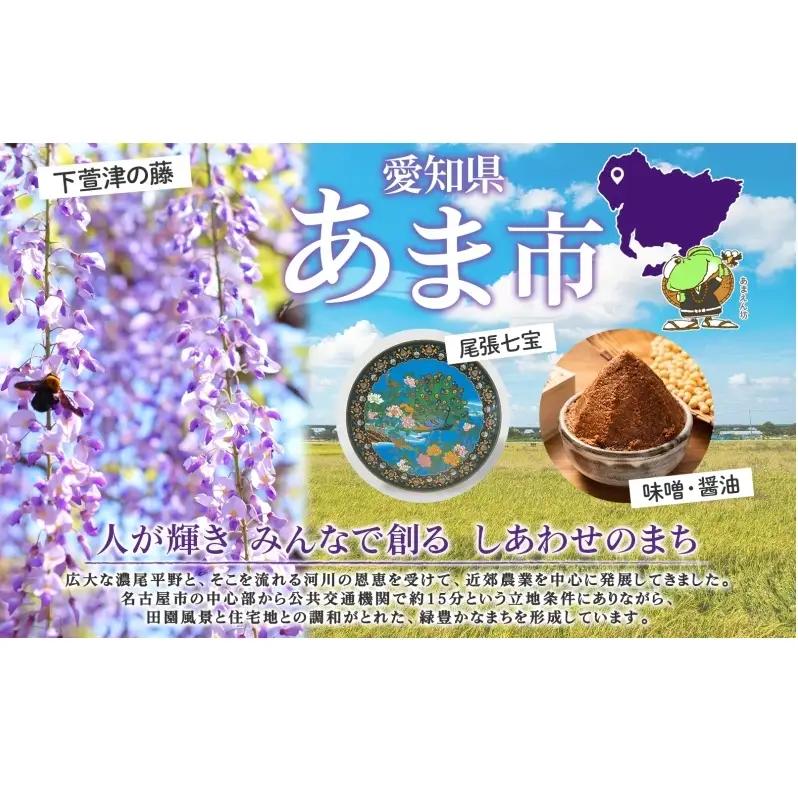 ダンボールトイレ すわれ～る 30回分 凝固剤 処理袋 防災士監修 組立不要 防災トイレ 簡易トイレ 非常用トイレ 携帯トイレ  ポータブルトイレ 防災 防災グッズ 防災用品 非常用 災害 備蓄 アウ