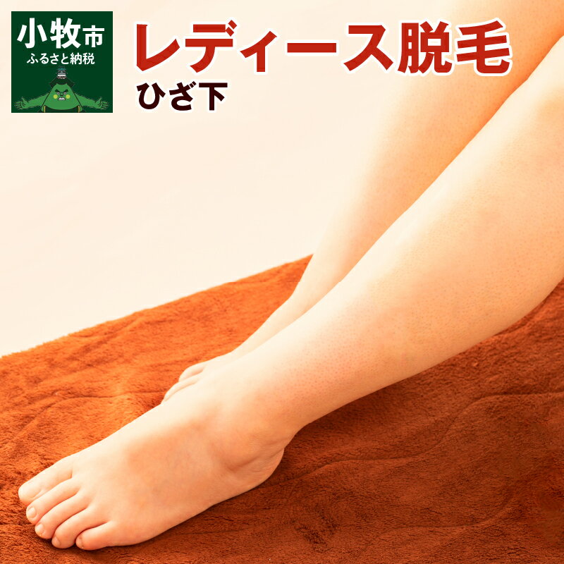 【ふるさと納税】脱毛 ひざ下 レディース脱毛 女 女性 脱毛プラン 美容 完全予約制 サロン ケア 身だしなみ ムダ毛 安心 親子で通える プライベートサロン プライベート 要予約 夜23時まで営業 仕事終わり 愛知県 小牧市