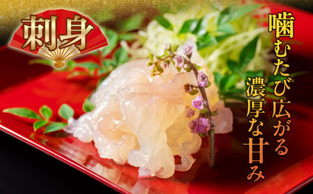 活き 伊勢海老 (刺身可) 2尾 約500g【 イセエビ 伊勢海老 】