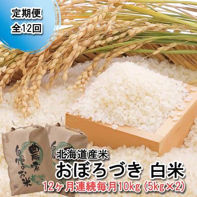 ふるさと納税 新ひだか町 &lt; 定期便 12回 &gt; 北海道産 希少米 おぼろづき 白米 10kg ( 5kg ×2 ) 新ひだか町