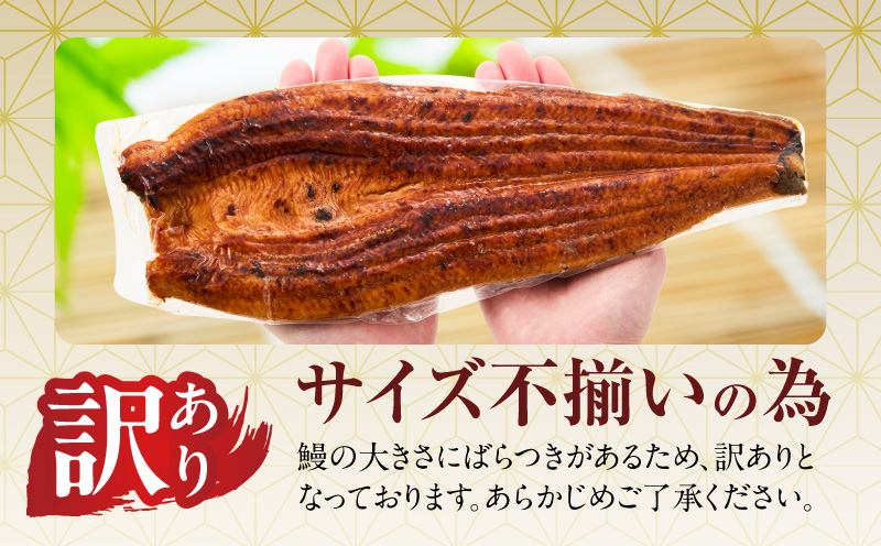 【土用の丑の日までにお届け】うなぎ 蒲焼き 暴れ盛り 合計 900g【鰻 真空パック 簡単調理 訳あり サイズ不揃い 人気 惣菜 うな重 うな丼 ひつまぶし にも 大阪 泉佐野 大阪府 泉佐野市】