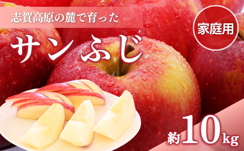 志賀高原の麓で育った サンふじ （家庭用）約10kg  りんご 10kg フルーツ 果物 デザート 長野 