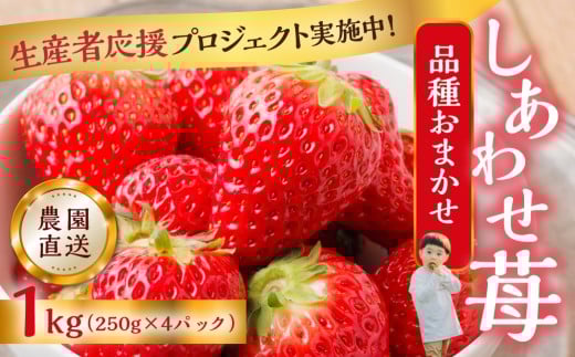 【応援プロジェクト限定品】2026年4月以降～発送 先行予約 自宅用 品種おまかせ いちご 1kg (250g × 4p) [しあわせ苺] サイズ バラバラ 訳あり 訳アリ 農園直送 フルーツ 果物 苺 イチゴ family農園watanabe 子ども 大人 人気 小分け 簡易梱包 家庭用 産地直送  紅ほっぺ よつぼし かおり野 岐阜 期間限定 いちご