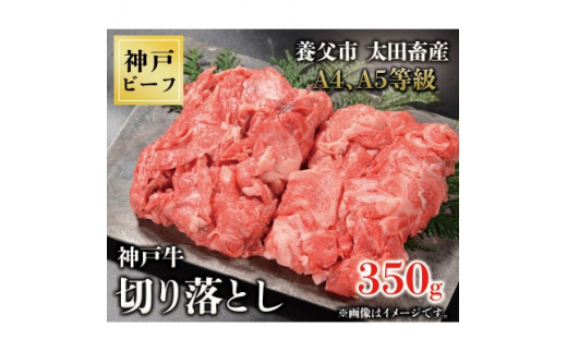 
神戸牛　切り落とし　350g【1443394】
