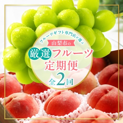 【発送月固定定期便】フルーツギフト専門店が選ぶ山梨市の厳選フルーツ定期便　全2品種全2回【配送不可地域：離島・沖縄県】