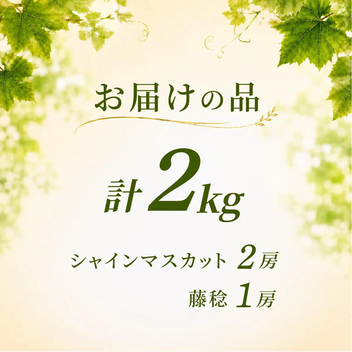 食べ比べ シャインマスカット2房 藤稔1房 約2kg シャインマスカット 藤稔