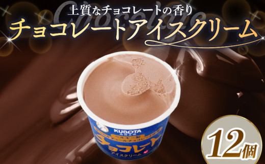 チョコレート アイスクリーム 110ml✕12個 | アイス チョコ カップアイス 人気 大容量 有名 セット 詰め合わせ スイーツ ジェラート ギフト おすすめ 久保田食品 高知県 南国市