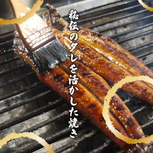 AK003_【冷蔵発送】朝開き国産うなぎ 当日発送２尾（1尾あたり約200～230ｇ） 蒲焼き（タレ付）国産鰻 ウナギ 土用丑の日