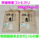 【ふるさと納税】【新米・令和6年産】茨城県産コシヒカリ 特別栽培米おかだいらの恵10kg　精米(5kg×2袋)【1294946】