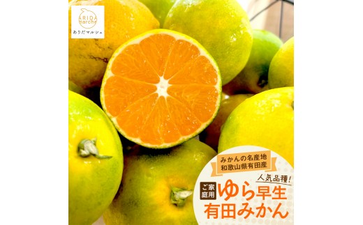 
            《先行予約・2026年10月～発送》ご家庭用 ゆら早生 有田みかん 5kg［訳あり］［MS27］
          