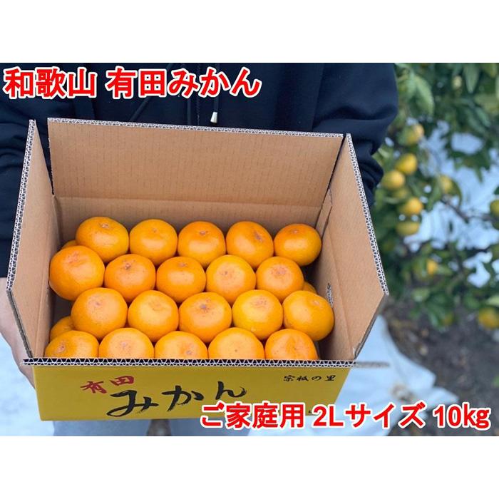 【ふるさと納税】［ご家庭用・サイズ2L］和歌山有田産！早生みかん≪10kg≫［予約販売］［数量限定］まる隆果樹園