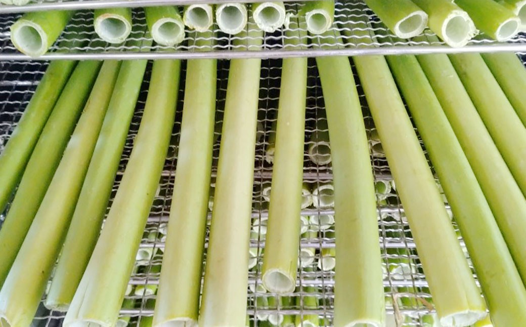 【12ヶ月定期便】乾燥パパイヤの茎 50g（約20本-30本）×6セット