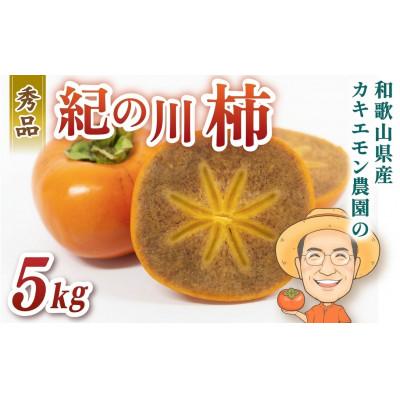 ふるさと納税 かつらぎ町 紀の川柿 約5kg カキエモン農園