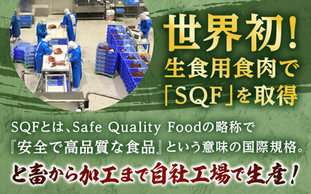馬肉 ハンバーグ 約130g×16個 計約2.08kg 小分け セット【株式会社 千興ファーム】[AYAF029]