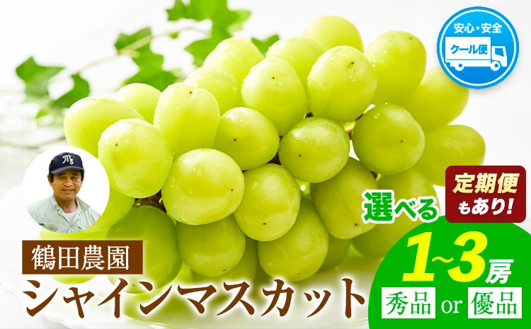 
                  先行予約 シャインマスカット 2ヶ月定期便あり 選べる 秀品 優品 約500-600g (1房) 約1.3kg (2-3房)  熊本県荒尾市産《8月下旬-9月下旬頃出荷予定》熊本県 荒尾市 フルーツ 果物 送料無料 葡萄 ぶどう マスカット 選べる 鶴田農園
                
