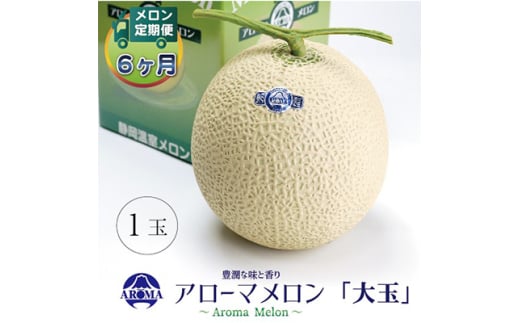 ＜毎月定期便＞アローマメロン白等級(大玉) 1玉 全6回【4013015】