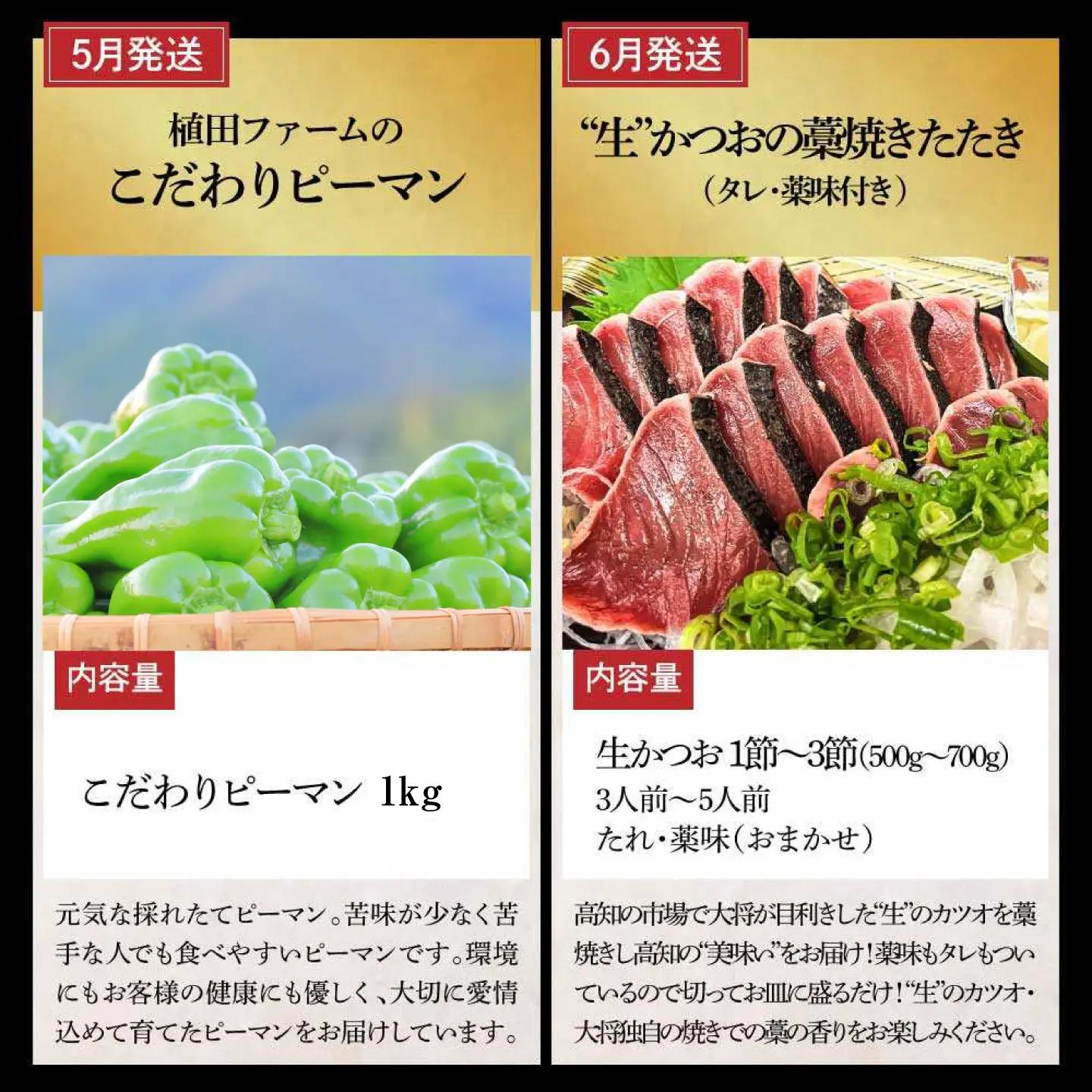 【全12回定期便】土佐市まるごと贅沢定期コース 高知県土佐市 【土佐市役所】 [BQCD015]