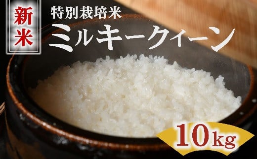 
            ミルキークイーン （新米予約9月以降発送） 特別栽培米 10kg 精米 (令和７年産 米 コメ ミルキークイーン 新米 精米 特別栽培米 10kg 人気 おすすめ ランキング 三重県 松阪市 ) 【3-196】
          