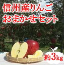 【ふるさと納税】【009-15】信州産りんごおまかせ3キロ（りんご・リンゴ・林檎）　長野県　伊那市　ふるさと納税　3キロ　3kg　与古美