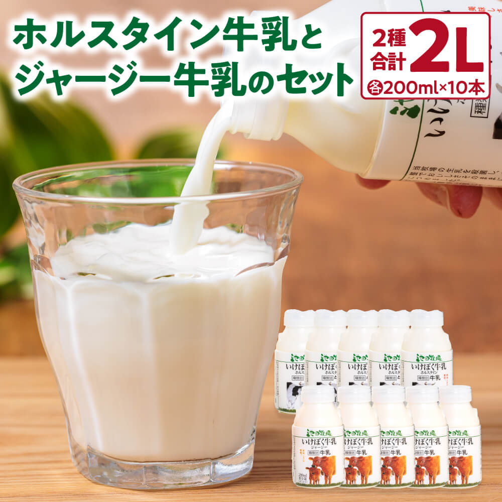 【ふるさと納税】 いけぼく牛乳ホルスタイン・ジャージーセット 牛乳 ホルスタイン牛乳 ジャージー牛乳 楽天 寄付 返礼品 お歳暮 ギフト プレゼント お祝い 贈り物 ふるさと納税 滋賀県 東近江 近江 O-H11 有限会社池田牧場