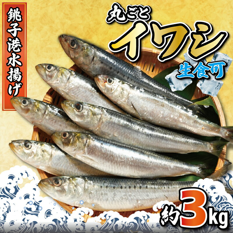 【ふるさと納税】 いわし 丸ごとイワシ 約3kg 鰯 海鮮 魚 大容量 おかず 惣菜 魚介 焼魚 魚貝 BBQ おつまみ 弁当 人気 冷凍食品 グルメ 贈答 贈物 ギフト 長期保存 小分け お取り寄せ 贈り物 お歳暮 送料無料 ふるさと納税冷凍 銚子港水揚げ 千葉県 銚子市 大一奈村魚問屋