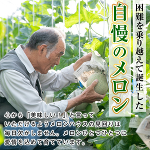 【0432211b】＜定期便・全2回(12月・1月)＞年内お届け！まるまる育ったマスクメロン(2玉×2回・計6.6kg以上) マスクメロン フルーツ 果物 果実 6キロ 数量限定 期間限定 【まる美園