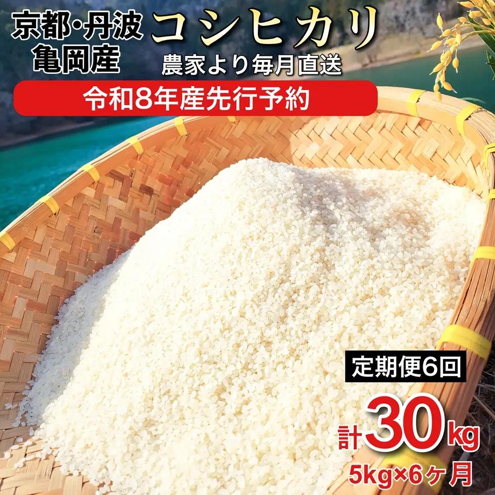 令和8年産【6回定期便】白米 コシヒカリ 5kg 精米 定期便