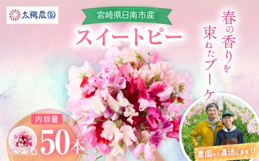 スイートピー 花束 50本 ピンク系 フラワー 期間限定 数量限定 生産者直送 新鮮 花 植物 観賞用 国産 インテリア用品 贈り物 ギフト プレゼント お祝い 誕生日 記念日 人気 おすすめ 癒し 選べる 宮崎県 日南市 送料無料_CB122-26