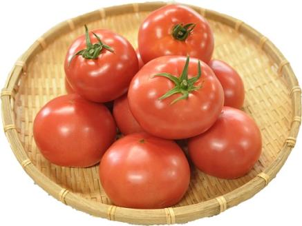 食の都庄内　庄内の大玉トマト約8kg　※7月上旬～8月下旬配送 [HS4-141(庄内旬青果)] 庄内の大玉トマト約8kg