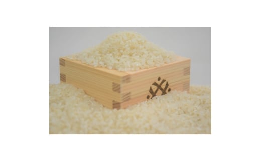 令和7年産　奈良ヒノヒカリ　5kg　白米【1666731】