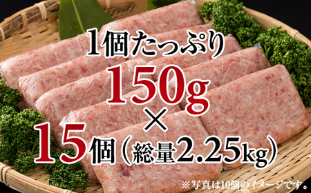 佐賀牛入合い挽きハンバーグ（150g×15個） B130-044