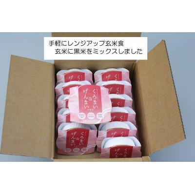 ふるさと納税 村上市 <お手軽玄米>くろまい&げんまい　パックご飯12個入り　特別栽培コシヒカリ　玄米　黒米 |  | 01