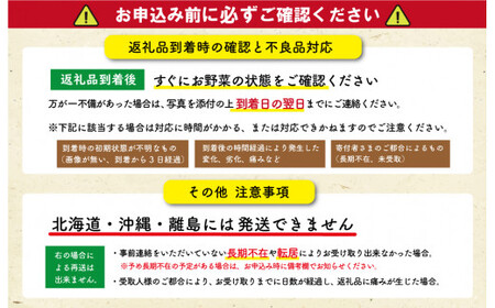旬の野菜 詰め合わせ 6～7品以上 連続3か月【定期便】おまかせ セット 産地直送 新鮮