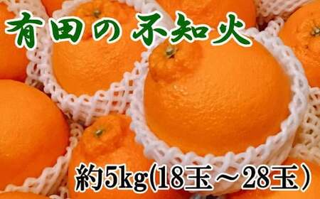 【濃厚】有田の不知火約5kg（18玉～28玉おまかせ）【tec860】