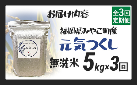 定期便3回 米 令和７年産 無洗米 選べる 元気つくし 5kg 定期便 精米 新米予約 福岡県 みやこ町産 チャック付き チャック 防虫 ごはん おにぎり 福岡 九州 グルメ お取り寄せ