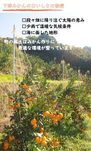 小玉みかん【訳あり】5kg 2S3Sサイズ【下津の極早生みかん】10月～11月にまごころ産直みかんより農園直送※北海道・沖縄・離島への配送不可 小玉 極早生みかん 訳あり 小玉 極早生みかん 訳あり 