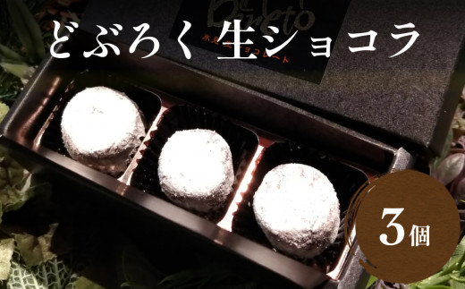 
どぶろくの生ショコラ3個入り 富山県 氷見市 チョコレート ショコラ どぶろく デザート お菓子 おやつ スイーツ バレンタイン ホワイトデー ギフト プレゼント
