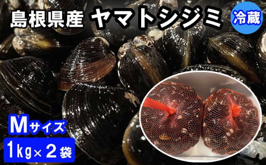 日本一！しまねのヤマトシジミ！Мサイズ 322032_CE004
