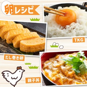 【ふるさと納税】土佐ジローの卵 定期便（12個入り×2回）もみ殻梱包【J00141】