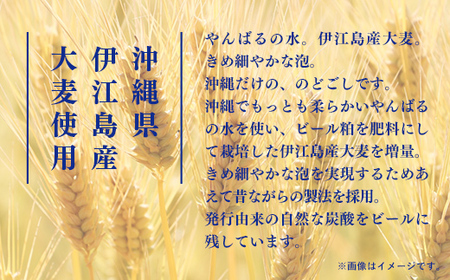 【定期便6回】 オリオンビール ザ・ドラフト 350ml×24缶 【価格改定YE】