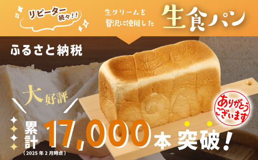 【12回定期便】パンのピノキオ特製　ふんわり生食パン2本セット（合計24本）R6-971