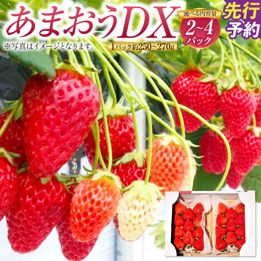 【ふるさと納税】あまおうDX 〈選べる〉 約250-270g×2～4パック 合計約500g～1080g あまおう いちご イチゴ 苺 ストロベリー ベリー フルーツ 果物 春 旬 九州 国産 福岡県産 送料無料【2027年2月上旬～4月下旬発送予定】
