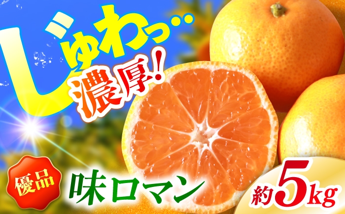 
                  【11月下旬より順次発送予定】【優品】 長崎 味ロマン みかん 約5kg＜長崎西彼農業協同組合＞ [CGU002] 高糖度みかん 贈答 ギフト 長崎県産 みかん 西海 長崎 みかん ミカン みかん 西海市 mikan みかん ギフト 果物 フルーツ お取り寄せみかん 柑橘 甘い 高糖度 温州ミカン 大人気 高評価 贈答みかん 産地直送 完熟みかん mikan くだもの 贈答みかん
                